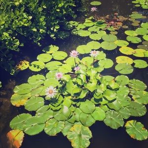 20 % OFF 2 OR MORE BUNDLED ITEMS💥🔥☄️💐🌷💐🌷🌸🙂